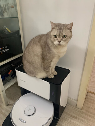 石头G10选购容忽然的三大要点