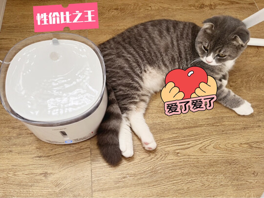 宠物饮水机