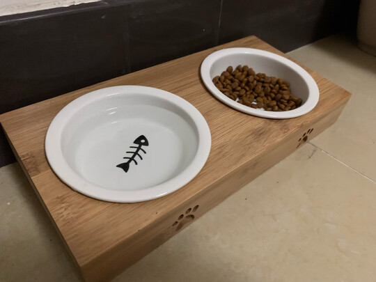 猫碗狗碗