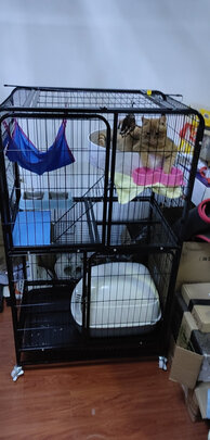  猫笼