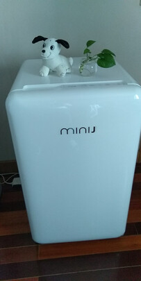 小吉（MINIJ）迷你复古冰箱 风冷无霜 迷你冷藏冷冻节能小冰箱100升 BD-100W F1