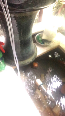鱼缸氧气泵