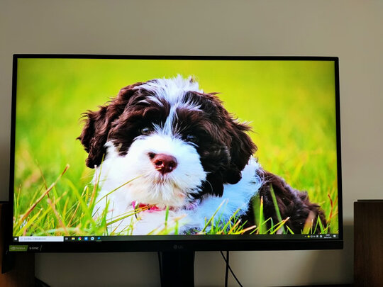 LG27GP83B-B极度喜欢感受反馈