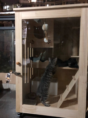  猫笼