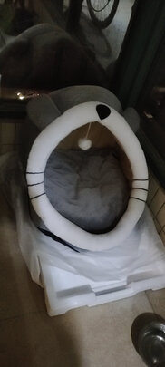 猫窝