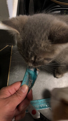 猫条猫零食