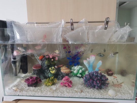 鱼缸换水器