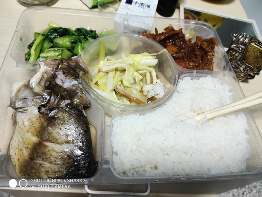 油壶