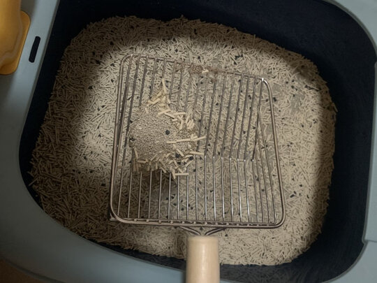 猫砂