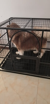  狗笼
