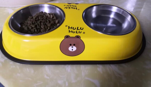 猫碗狗碗
