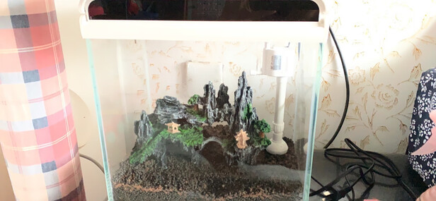 桌面鱼缸