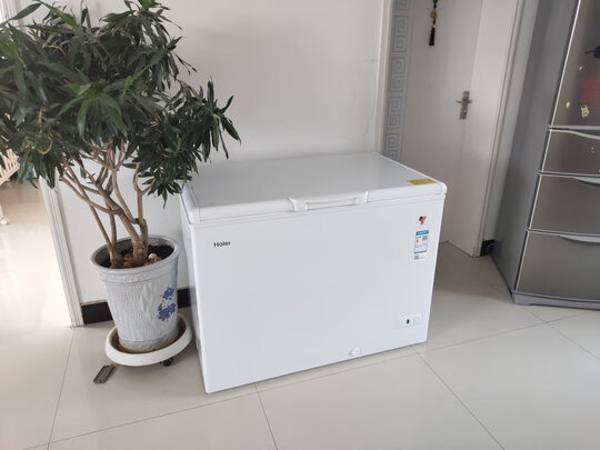 冰箱|海尔BC/BD-315HDB如何,值得入手的原因分享！