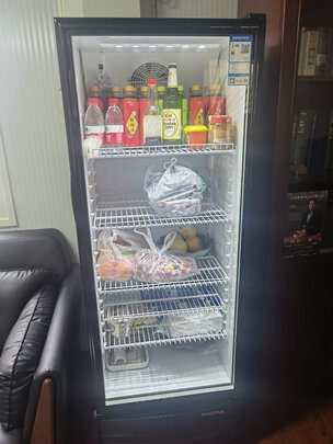 冰柜|參考剖析澳柯瑪SC-316NE冰柜怎么樣?深度測評剖析