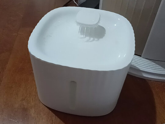 宠物饮水机