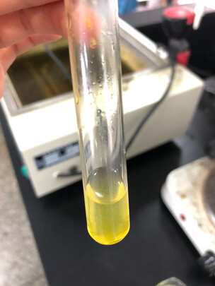 狗狗电推剪