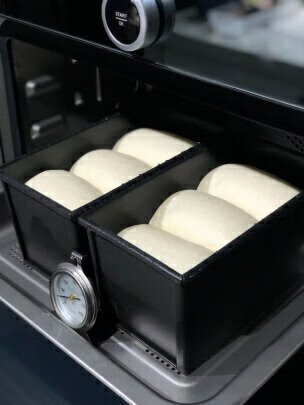 勃朗X5蒸烤箱|勃朗X5蒸烤箱真实使用感受？真相必看