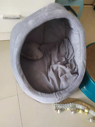猫窝