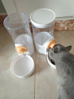 宠物自动喂食器