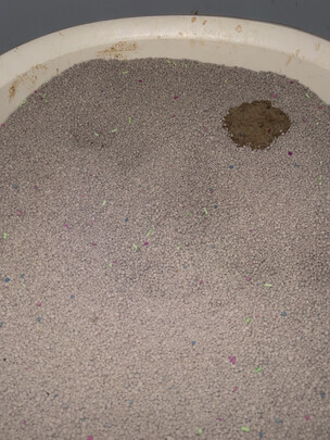 膨润土猫砂
