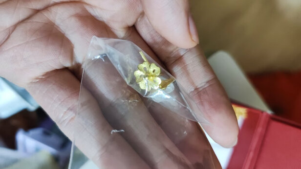 黄金耳饰
