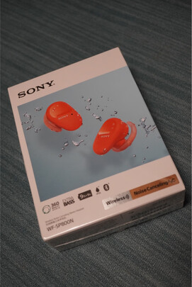 索尼（SONY）WF-SP800N 真无线降噪 运动耳机 支持重低音 跑步健身 IP55防汗防水 黑色