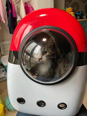 猫包