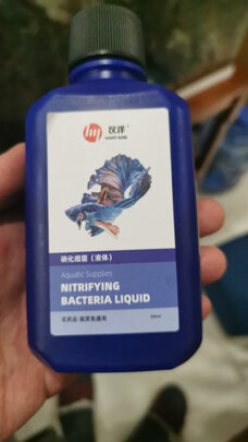 鱼缸硝化细菌