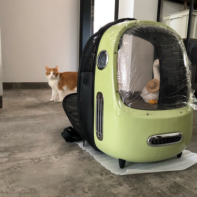 宠物航空箱