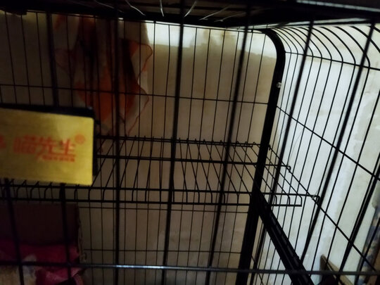  猫笼