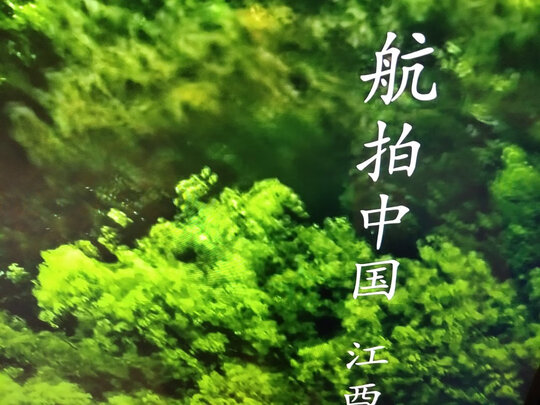 电视|长虹75D8K对比75D4PS哪款好？具体区别大不大？