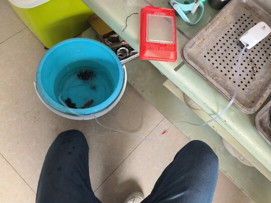 鱼缸氧气泵