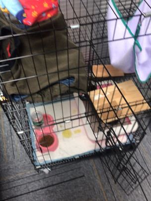  猫笼