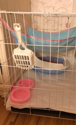  猫笼