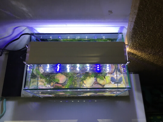 鱼缸灯led灯