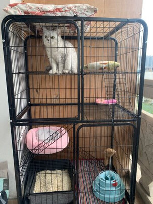  猫笼