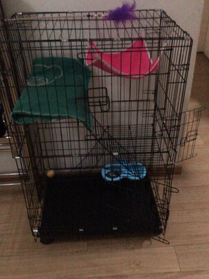  猫笼