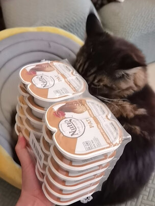 猫粮罐头