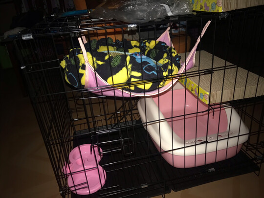  猫笼