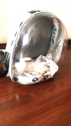 猫包