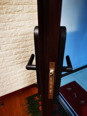 绿米Aqara智能锁D100 全自动推拉指纹锁密码锁 接入米家/HomeKit双平台智能联动 C级锁芯电子锁 碳素黑