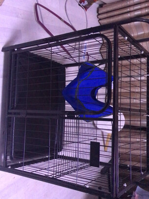  猫笼