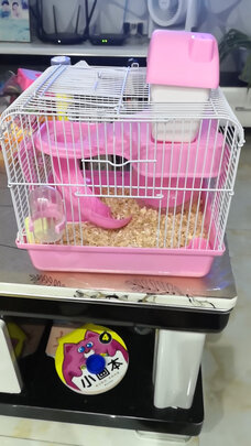 仓鼠水壶