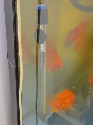 鱼缸加热棒