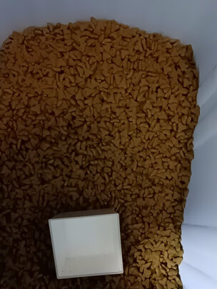 狗粮