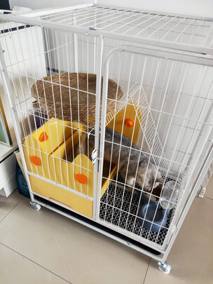 猫笼