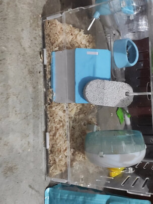 仓鼠水壶