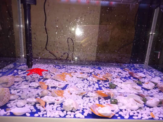 鱼缸造景石头