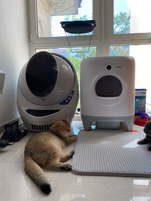 猫砂铲