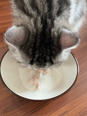 猫零食